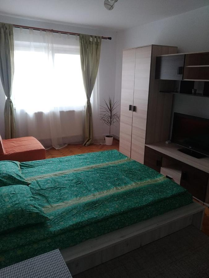 Apartament Erik Apartment Сибиу Екстериор снимка